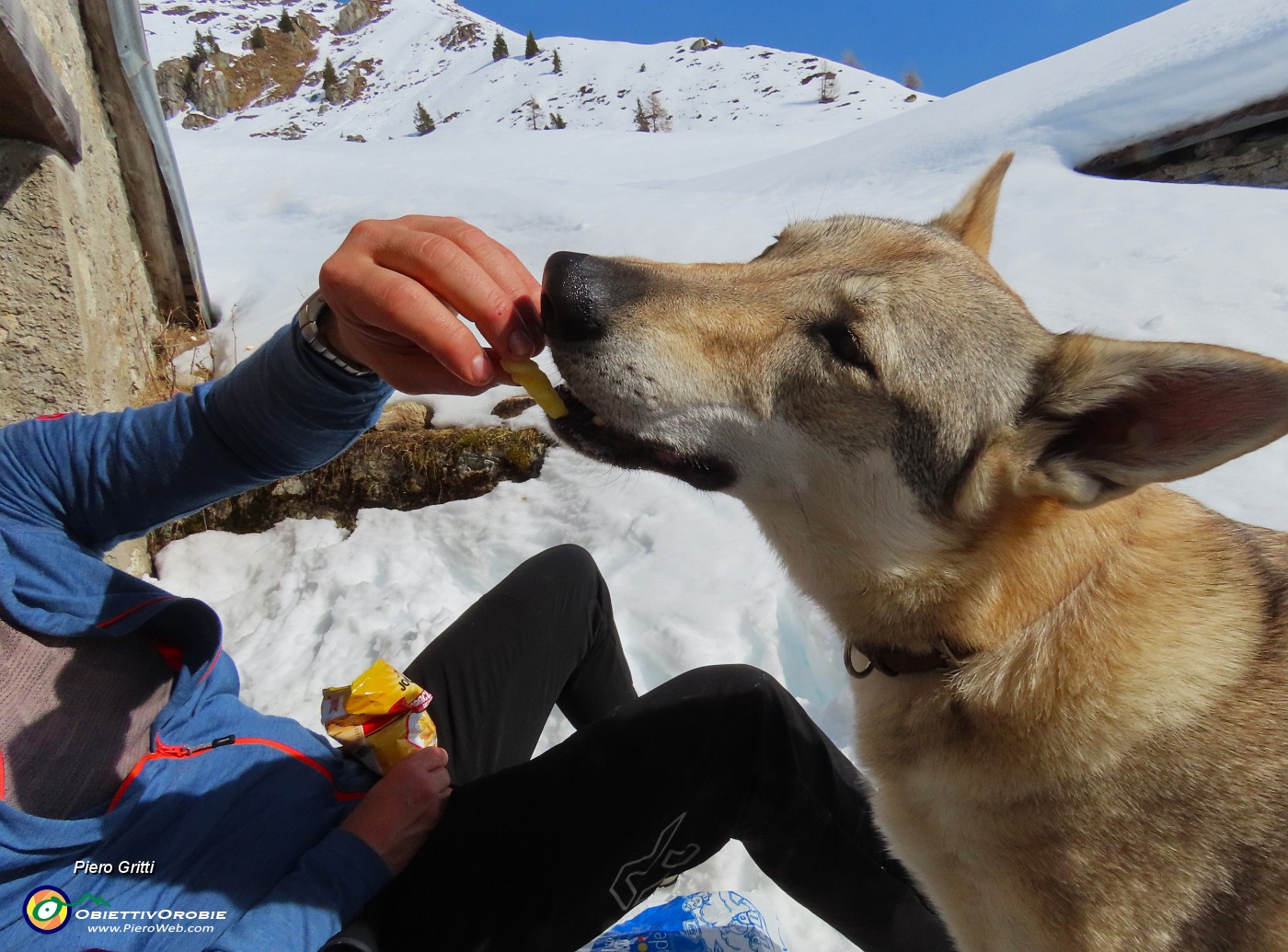 44 Un buon bocconcino anche a me! .JPG